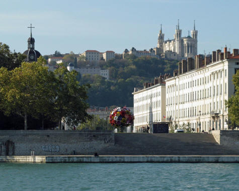 Flower Tree in Lyon France